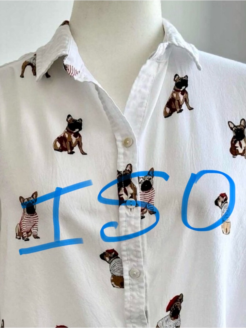 ISO: Jane and Delancey - Button Down Shirt - White French Bulldog Size 1x or 2x